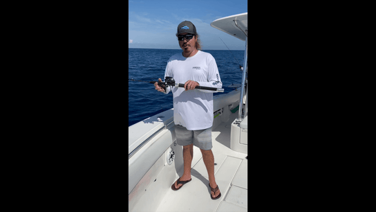 E-Rod Cloud Overview - Dominion Rods