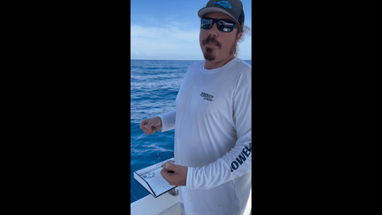 Easiest way to make a Chicken Rig - Dominion Rods