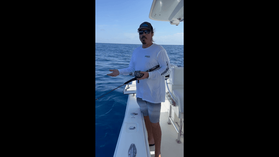Proper Jigging Technique - Dominion Rods
