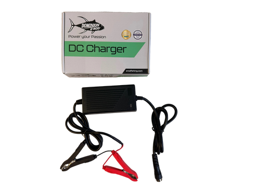 DC 12.5 Volts Charger