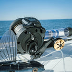 Daiwa Tanacom 800 Electric Reel - Dominion Rods