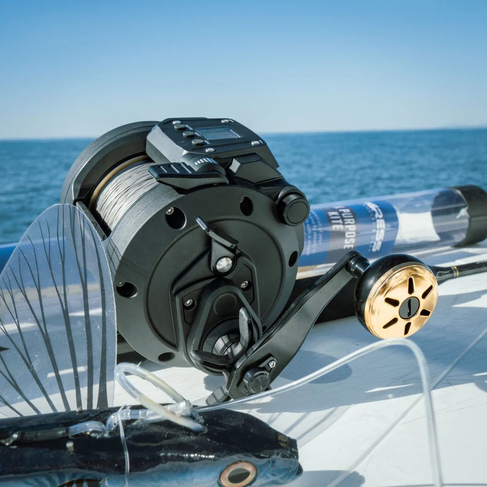 Daiwa Tanacom 800 Electric Reel - Dominion Rods