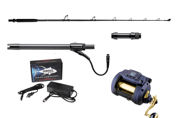 daiwa electric rod and reel combo E-Rod HD Straight Butt standing record of innovation Deep Sea Fishing Reels Best